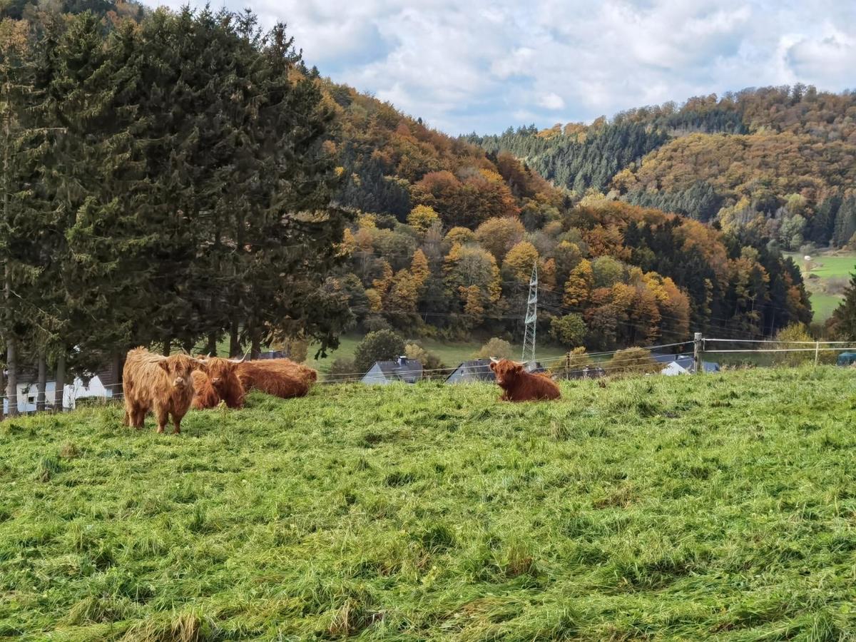 Ferienhaus Waldblick Hohenfels-Essingen エクステリア 写真