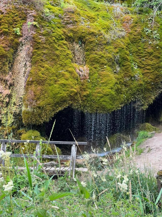 Ferienhaus Waldblick Hohenfels-Essingen エクステリア 写真
